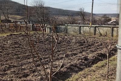 Casă cu Teren 1300 Mp în Dămienești - 8