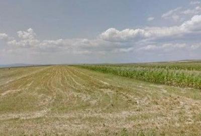 Teren extravilan cota parte 1/3 Cernatesti , ID: R2586146 - 1