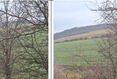 Teren cota parte 1/12 Deleni, ID: R2662164 - 1