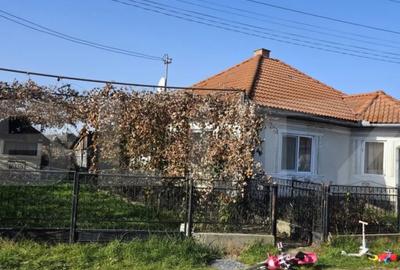 Casă cu 2 camere cu Teren 698 Mp în Central - 2