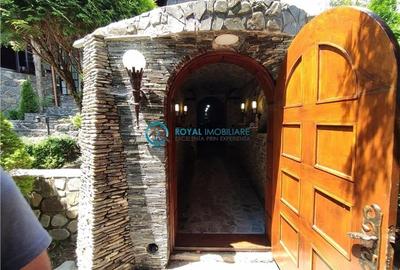 Royal Imobiliare -vanzare vila/ casa de vacanta zona CAMPINA - 7