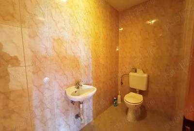 Casă cu Teren 5000 Mp în Central