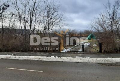 Teren Construcții intravilan de 10435 mp, în Huși - 1