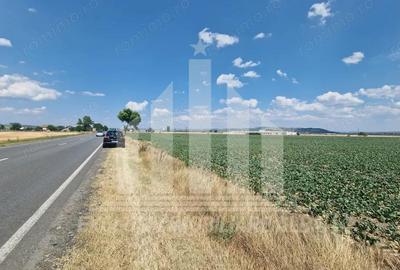 Teren agricol la sosea, pretabil si ptr constructii industriale - 7