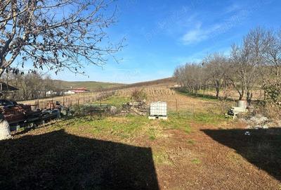 Casa de vanzare in loc. Iclod jud. Cluj cu gradina de 2000 mp - 3
