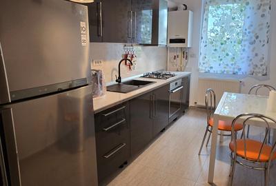 Apartament cu 2 camere decomandat, mobilat în Sălaj - 3