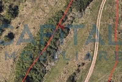 Teren intravilan 5500 mp Mures - 2