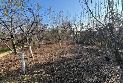 Casă cu 4 camere în Husasău de Criș - 8