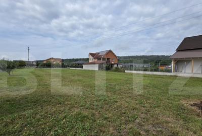 Teren intravilan 15 ari, zona Viile cu Pomi, 76000 euro - 2