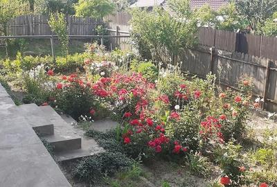 Casă cu Teren 1700 Mp în Galați - 1