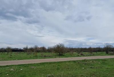 Teren Intravilan 800 mp Sanpetru - 1