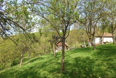 Teren intravilan si cladire in Apuseni, Blajeni, Hd - 15