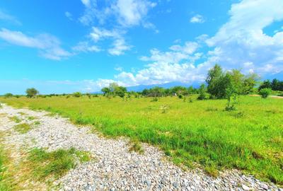 Teren Construcții intravilan de 1000 mp, în Exterior Est - 3