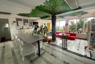 Casă individuală cu 10 camere cu Canalizare în Grigorescu