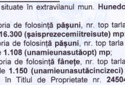 Teren agricol extravilan de 18558 mp, în Răcăștia - 1