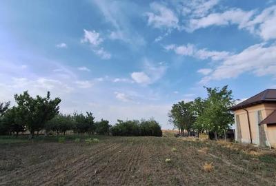 Teren de 1500 mp, în Izvoarele - 3