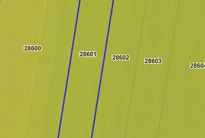 Teren de 17000 mp, în Cuza Vodă - 1