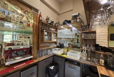 RESTAURANT GYULA | UNGARIA | PANOURI SOLARE | 245 MP |  TERASA PE LAC - 7