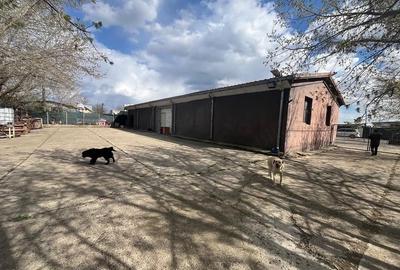Spațiu comercial, de 580 mp, în Holboca