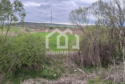 Teren Construcții intravilan de 1738 mp, în Jucu de Sus - 5