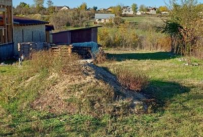 Spațiu comercial, în Sărbătoarea - 4