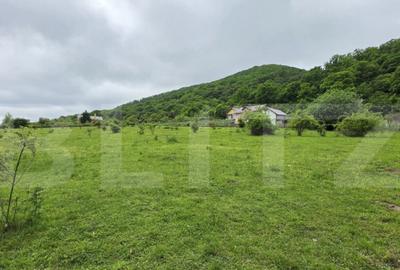 Teren intravilan de vanzare, 14,5 ari, zona Sud-Bistrita - 3