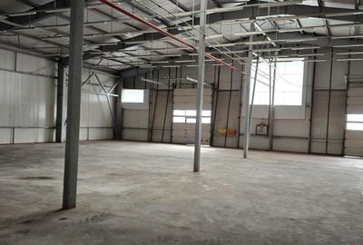 Spatii industriale  si comerciale  de inchiriat Focsani 5000 mp - 17