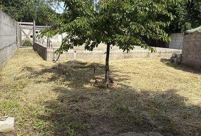 Casă cu 3 camere cu Teren 500 Mp în Jilava - 6