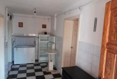 Casă cu 2 camere în Bichiș - 5