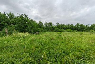 Teren de 18645 mp, în Sântămăria de Piatră - 7