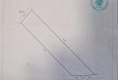 Teren agricol extravilan de 100000 mp, în Mihail Kogălniceanu - 1