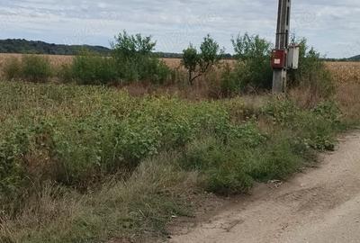 Teren în Poiana Lacului - 2