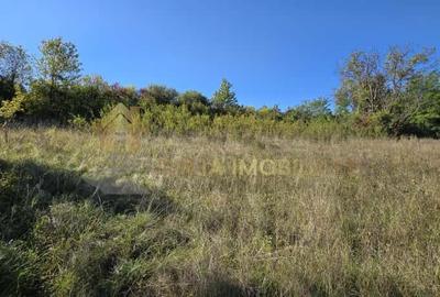 Teren Construcții intravilan de 11000 mp, în Suceagu - 9