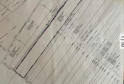 Teren de 24750 mp, în Berceni - 4