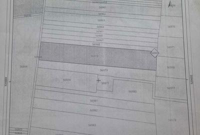 Teren de 10000 mp, în Glina - 1