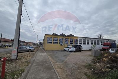 Hala de caramida 500 mp. - 1