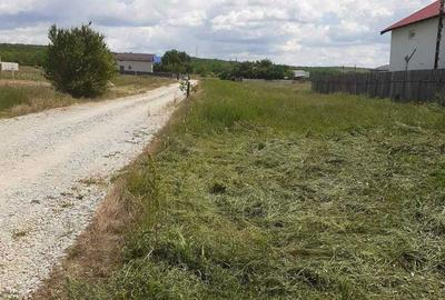 Spațiu comercial, în Bariera Vâlcii - 1