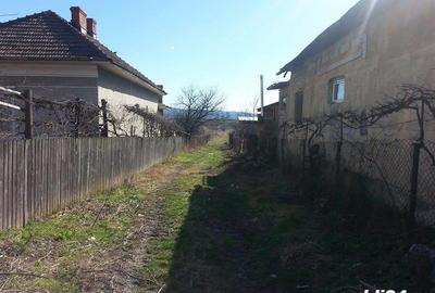 Teren de 9000 mp, în Copăcelu - 4