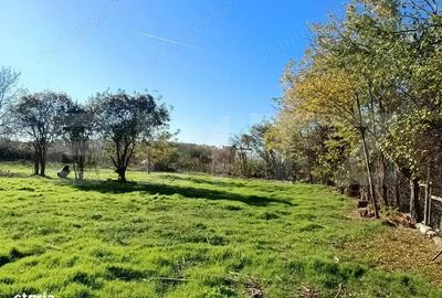 OPORTUNITATE TEREN 0,9 Ha intravilan constructii+extravilan - 6