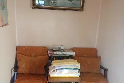 Vand casa la curte - 3