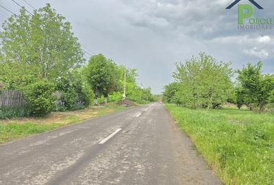 Calarasi, com. Sarulesti - 12