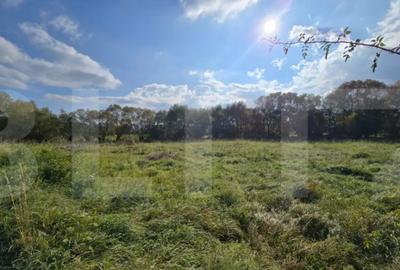 Teren de 1200 mp, în Sălicea - 2