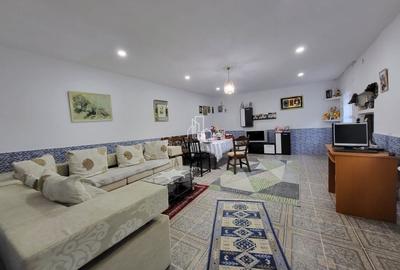 Casa cu o suprafata totala 1927 Mp, Seleus, Danes