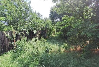 Butimanu Teren Intravilan Utilitati OFERTA - 12