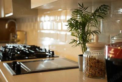 Apartament 4 camere Ipotesti de vanzare - 3