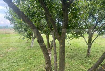 Teren extravilan 10 ari cu Cabana de 45 mp - 19