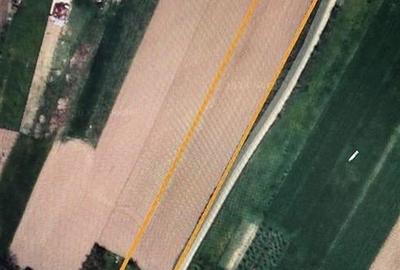 Teren Construcții intravilan de 5000 mp, în Cheriu