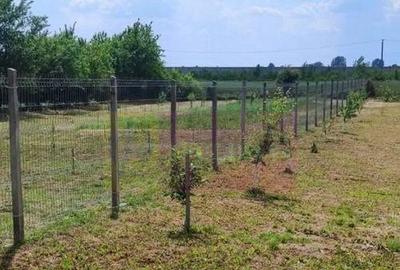 Casa Prahova Comuna Buchilas | 2.800 MP TEREN | Zona Verd... - 5