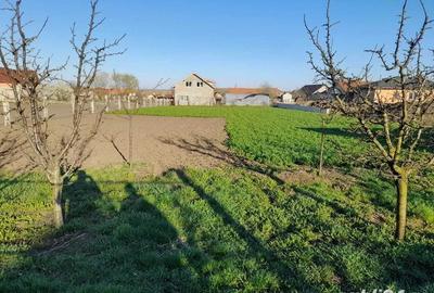 Casă cu 6 camere în Central - 5