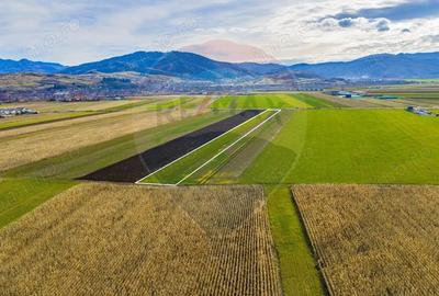 Teren 10,000mp Tarlungeni - 8